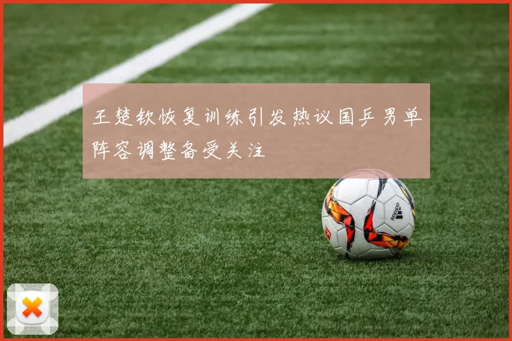 王楚钦恢复训练引发热议国乒男单阵容调整备受关注