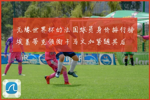 无缘世界杯的法国球员身价排行榜埃基蒂克领衔卡马文加紧随其后